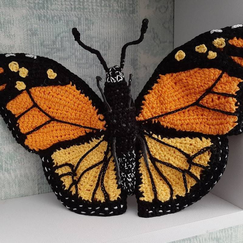 Monarch vlinder achterkant
