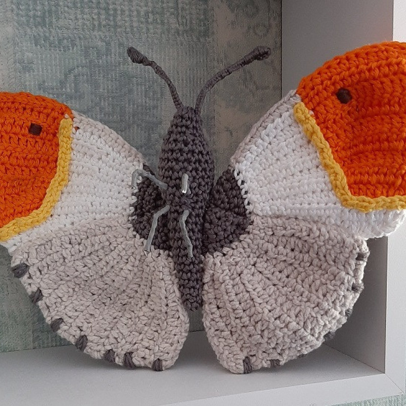 Oranje tipje vlinder achterkant
