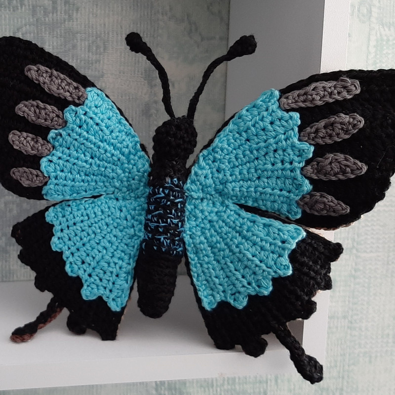 Tropische blauwe vlinder voorkant