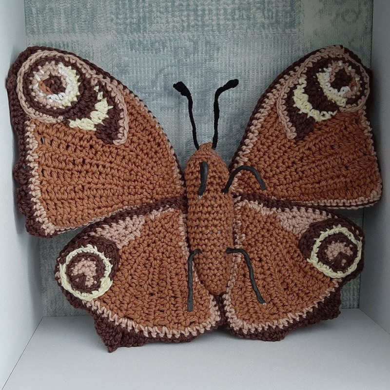 Dagpauwoog vlinder achterkant