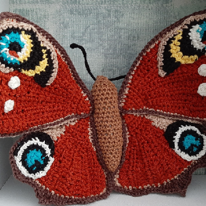 Dagpauwoog vlinder voorkant
