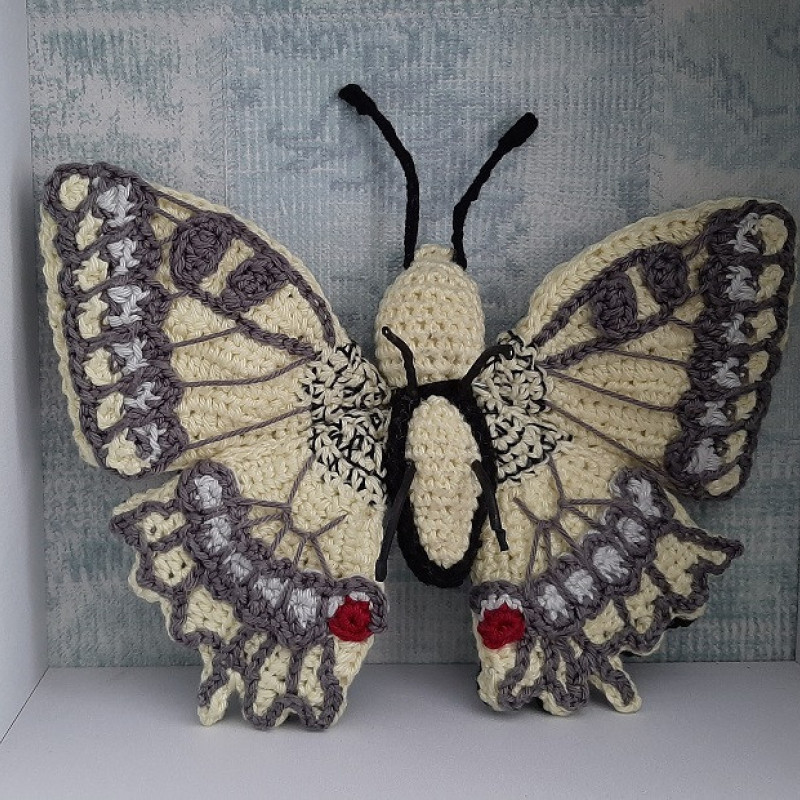 Koninginnepage vlinder achterkant