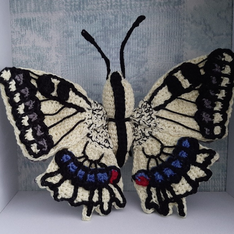 Koninginnepage vlinder voorkant